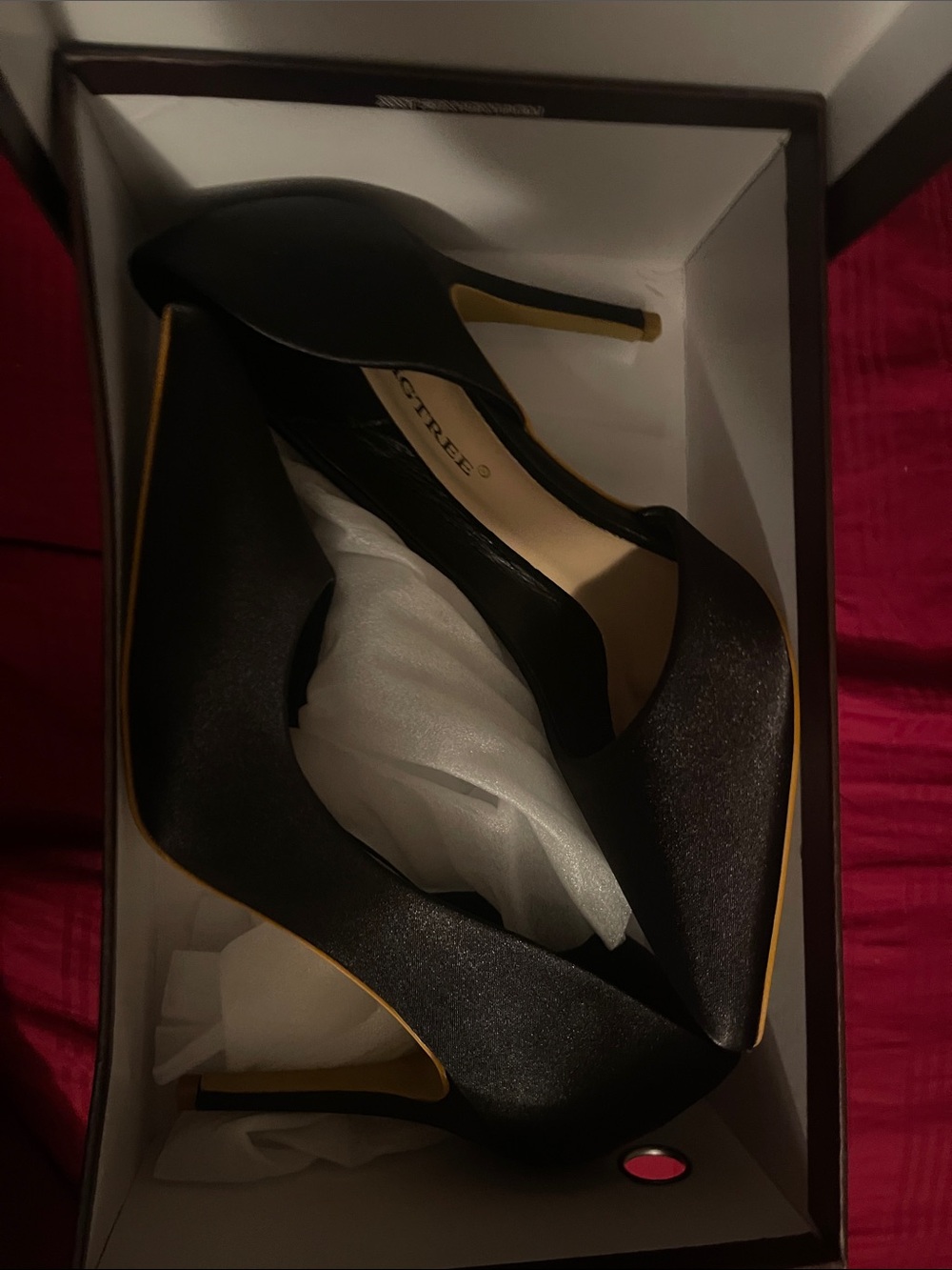 Classic Black Pointed-Toe High Heels - Women